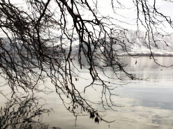 Snow Poster featuring the photograph White Lake by Sophia Gaki Artworks