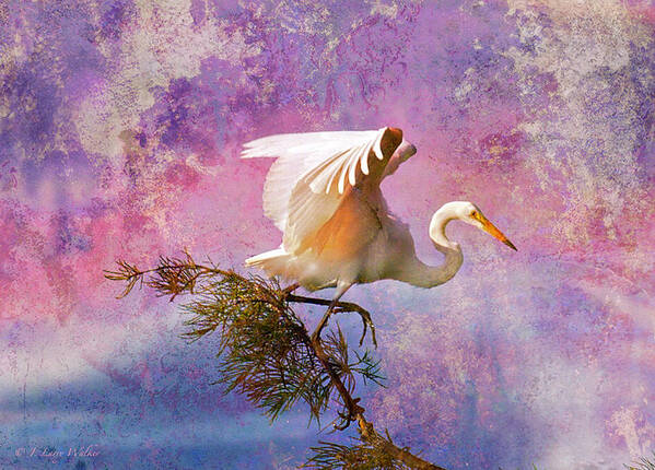 J Larry Walker Poster featuring the digital art White Lake Swamp Egret by J Larry Walker