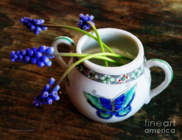 Wild Flowers Poster featuring the photograph Wild Flowers in Sugar Bowl by Lainie Wrightson