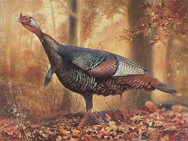 Wild Turkey Poster featuring the painting Wild Turkey by Hans Droog