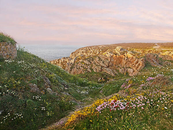 Coastal Scene Poster featuring the photograph Wildflower Meadow at Grosnez by Gill Billington