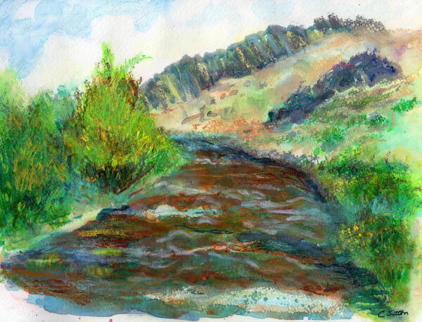 C. Sitton Paintings Poster featuring the painting Willow Creek in Spring by C Sitton