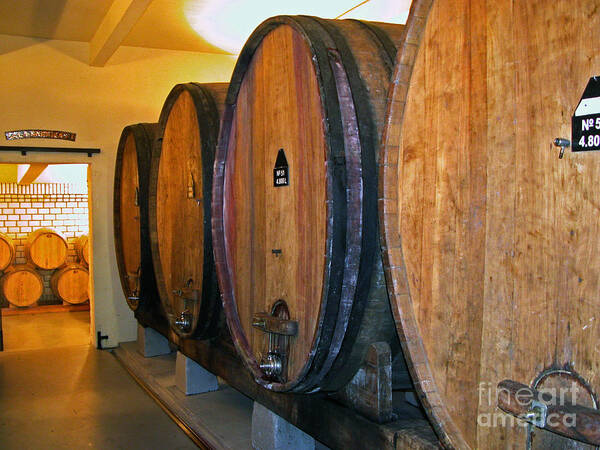 Wine Vats Poster featuring the photograph Wine Vats by Tim Holt