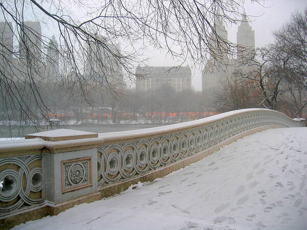 The Gates Poster featuring the photograph Winter at Bow Bridge by Cornelis Verwaal