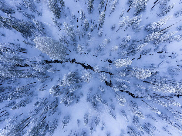 Aerial Poster featuring the photograph Winter Wonderland by Gerald Macua
