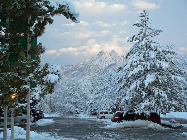 Salt Lake City Poster featuring the photograph Winter Wonderland in Murray Utah by Tikvah's Hope