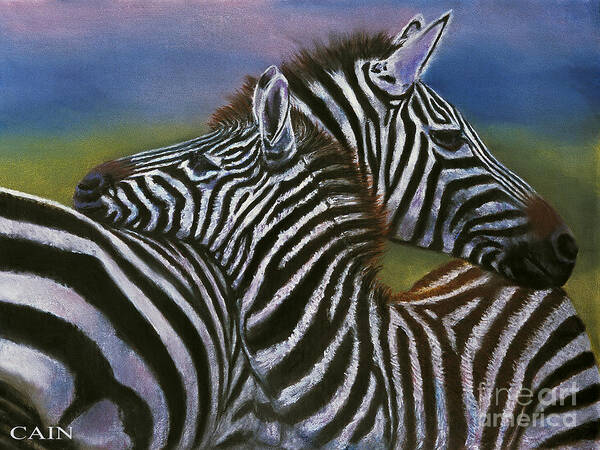 Zebras Poster featuring the painting Zebras In Love Giclee Print by William Cain