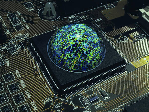Brain Poster featuring the photograph Brain On A Chip #1 by Laguna Design