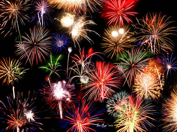 Fireworks Poster featuring the photograph Fireworks Medley #1 by La Rae Roberts