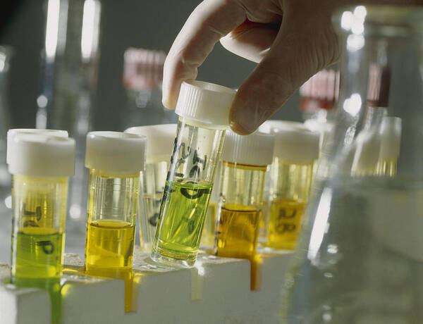 Sample Poster featuring the photograph Gloved Hands Selecting A Vial For Analysis #1 by Tek Image