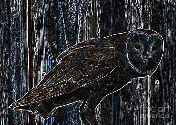 Barn Owl Poster featuring the photograph Night Owl - Digital Art #1 by Carol Groenen