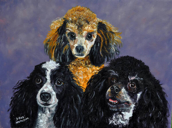 Poodles Poster featuring the painting Poodles #2 by Stan Hamilton
