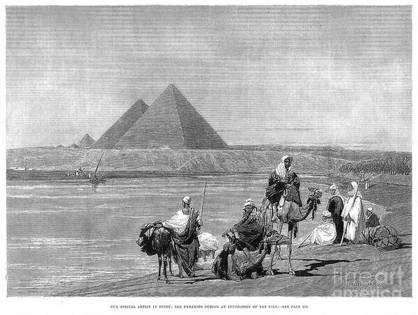 1882 Poster featuring the photograph Pyramids At Giza, 1882 #1 by Granger
