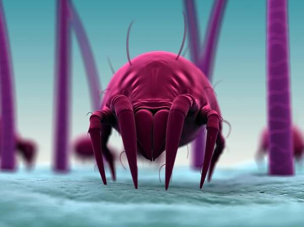 Horizontal Poster featuring the digital art Dust Mite, Artwork #19 by Sciepro