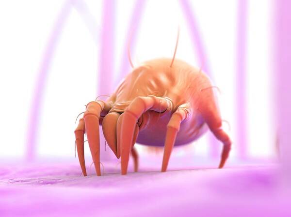 Horizontal Poster featuring the digital art Dust Mite, Artwork #23 by Sciepro