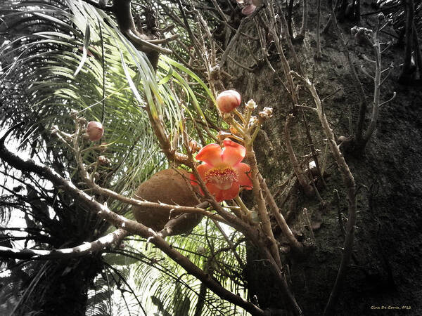 Flowers Poster featuring the photograph Tropical Flowers #6 by Gina De Gorna