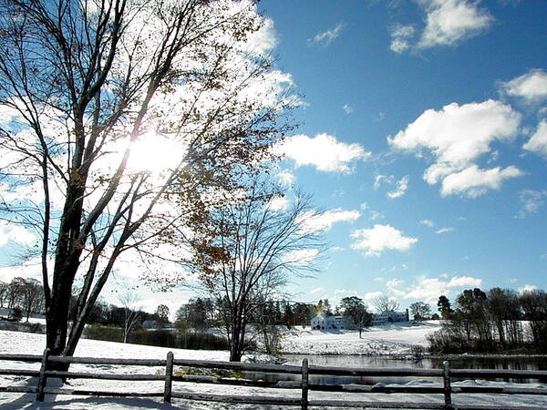 Snow Poster featuring the photograph A Colorful Snowy Landscape by Kim Galluzzo