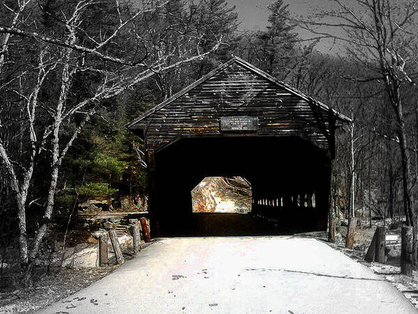 Covered Bridge Poster featuring the photograph Albany Covered Bridge by Marie Jamieson