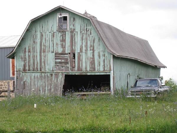 Barn Poster featuring the photograph Alone by Kristine Bogdanovich