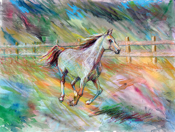  Poster featuring the painting Arabian Dream Horse by Nancy Tilles
