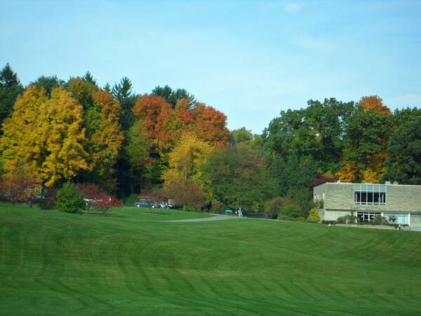 Landscape Poster featuring the photograph Autumn in the Trees by Val Oconnor