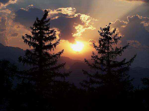 Sunset Poster featuring the photograph Between Two Trees by Clarice Lakota