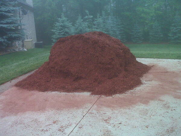 Usa Poster featuring the photograph Big Pile of Mulch Time by LeeAnn McLaneGoetz McLaneGoetzStudioLLCcom