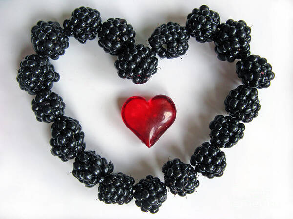 Heart Poster featuring the photograph Blackberry Love by Ausra Huntington nee Paulauskaite