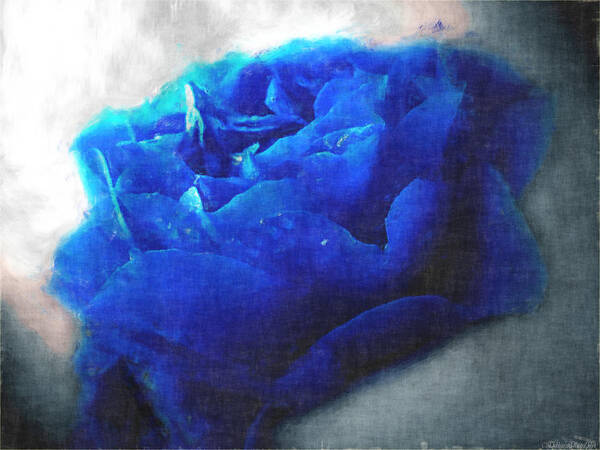  Poster featuring the digital art Blue Rose by Debbie Portwood