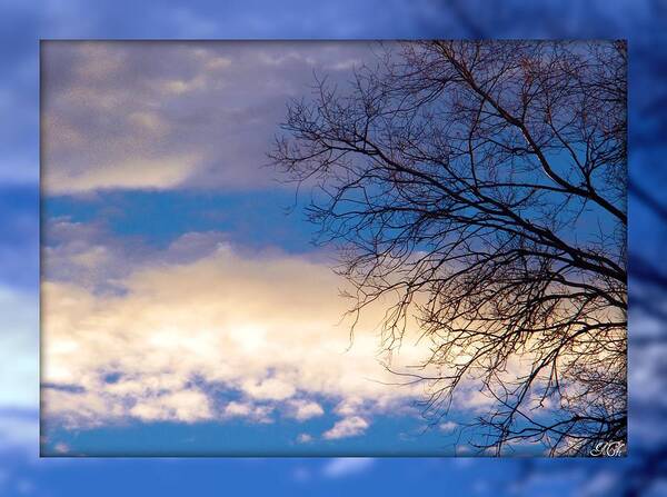 Blue Poster featuring the photograph Blue sky by Michelle Frizzell-Thompson