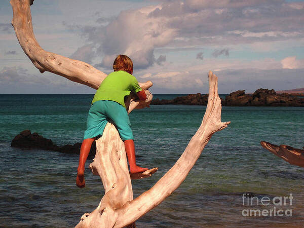 Child Poster featuring the photograph Boy on Driftwood by Bette Phelan