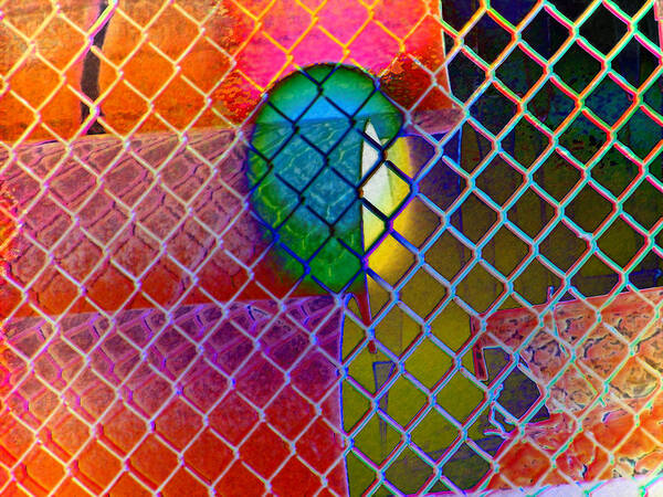 Abstract Poster featuring the photograph Colors Hiding behind Fence by Lenore Senior