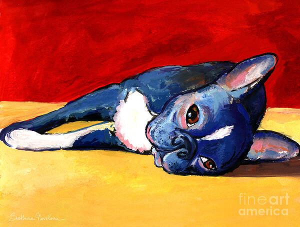 Cute Boston Terrier Poster featuring the painting Cute sleepy Boston Terrier dog painting print by Svetlana Novikova