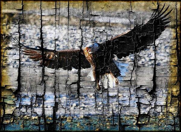 Bald Eagle Poster featuring the digital art Eagle Imprint by Carrie OBrien Sibley