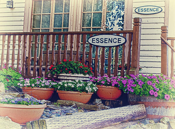 Essence Of Lanesboro Poster featuring the photograph ESSENCE of Lanesboro by Bill and Linda Tiepelman