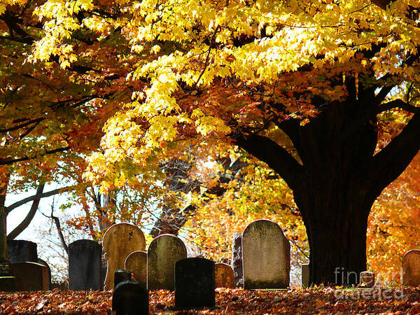 Fall Poster featuring the photograph Fall Cemetery by Jeanne Woods