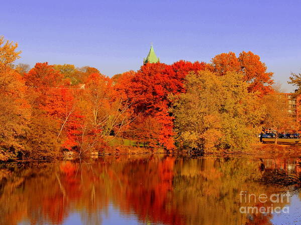 Fall Poster featuring the photograph Fall on Mystic lake by Lennie Malvone