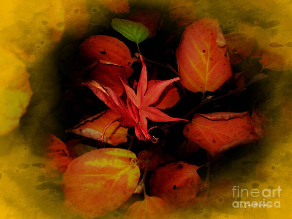 Autumn Poster featuring the photograph Fallen Leaves by Joan Minchak