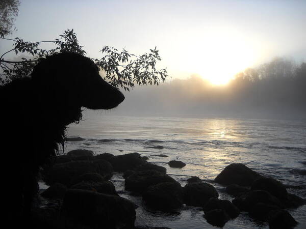 Fog Poster featuring the photograph Fog on the Rocks Sunrise by Kent Lorentzen