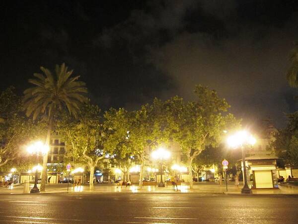 Valencia Poster featuring the photograph Foggy Night in Valencia Lighted With Street Light Poles in Spain by John Shiron