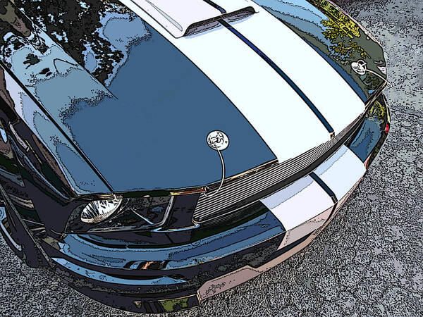 Ford Shelby Gt Poster featuring the photograph Ford Shelby GT Nose Study by Samuel Sheats