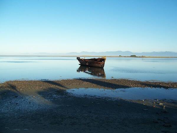 New Zealand Poster featuring the photograph Forgotten Boat Wreck near Motueka by Peter Mooyman