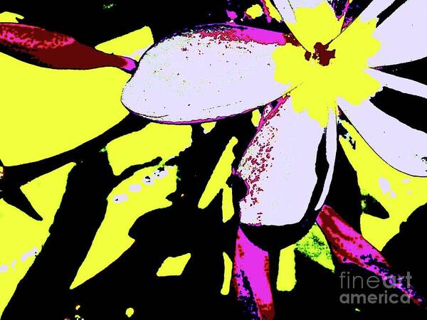 Digital Art Poster featuring the digital art Frangipani 0856 24 by Nina Kaye