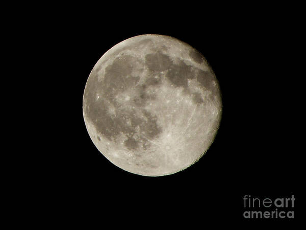 Full Moon Poster featuring the photograph Full Moon by Pixel Chimp