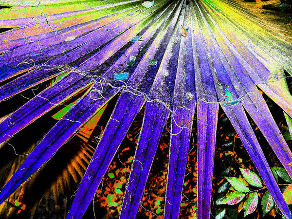 Palm Poster featuring the digital art Garden Palm At Night by Eric Forster