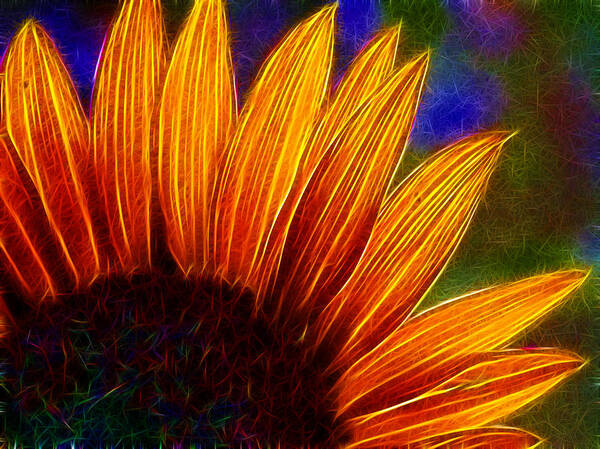 Fractallius Sunflower Sunflowers Flower Plant Garden Seeds Edible Food Nature Yellow Neon Glowing Petals Flower Prints Flower Images Sunflower Prints Poster featuring the photograph Glowing Sunflower by Lisa Stanley