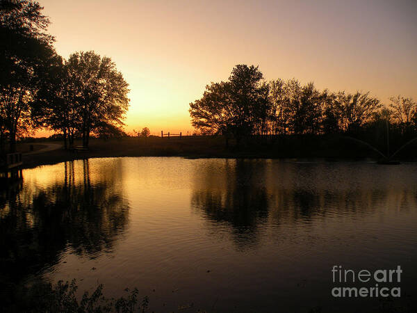 Mineola Nature Preserve Poster featuring the photograph Golden Sunset by Kathy White