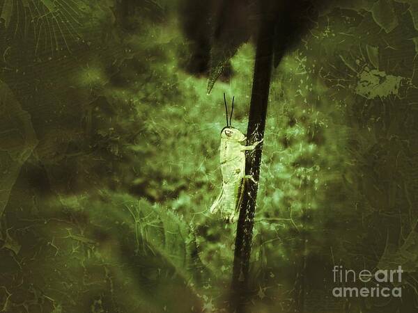 This Grasshopper Was Holding On Tight To That Stem Poster featuring the photograph Hanging On by Christy Bruna