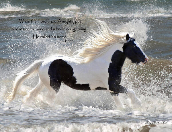 Equine Poster featuring the photograph Hooves on the Wind by Terry Kirkland Cook