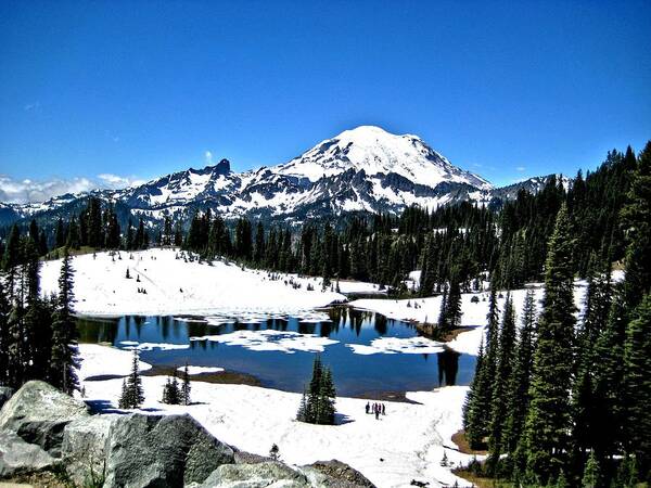 Mt Poster featuring the photograph Majestic Rainier by Rob Green